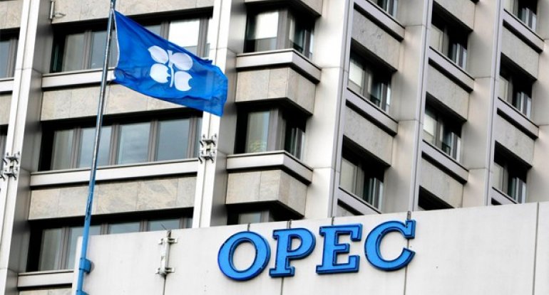 OPEC daxilində fikir ayrılığı neftin qiymətinə təsir edir