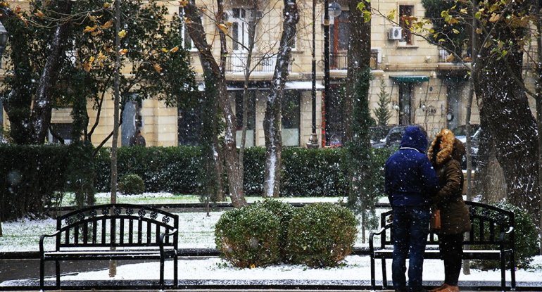 Kola girmiş pişik, büzüşən sevgililər, sürüşən uşaqlar