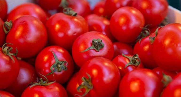 Türkiyədən Rusiyaya pomidor