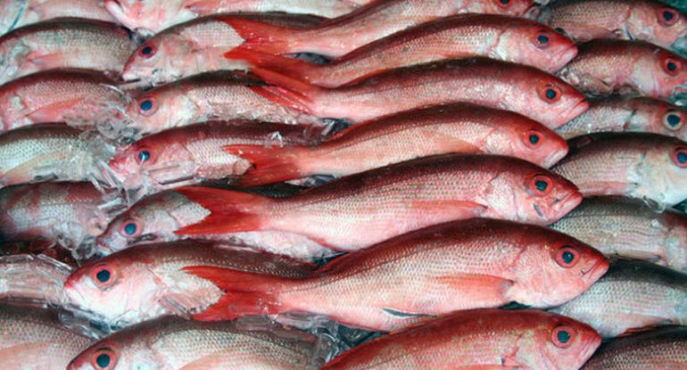 Bazarda balığın qiyməti ucuzlaşıb