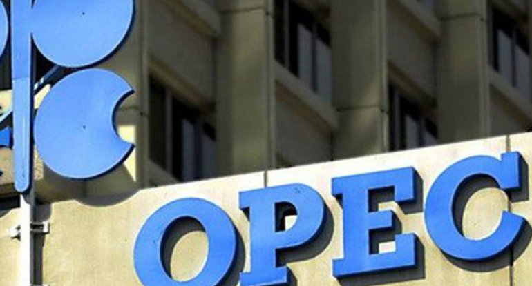 Azərbaycan OPEC-ə hesabat verdi