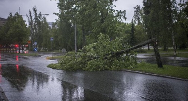 Finlandiyada dəhşətli tufan