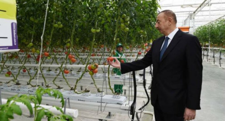 Prezident “BAKU AGROPARK”la tanış oldu