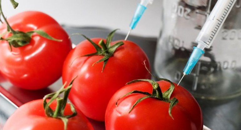 Hansını seçək: GMO, yoxsa təbii qida məhsullarını?