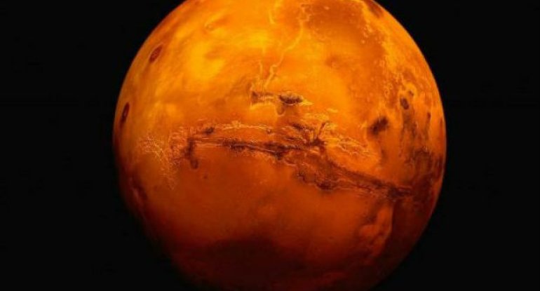 NASA “Mars arıları” istehsal edəcək
