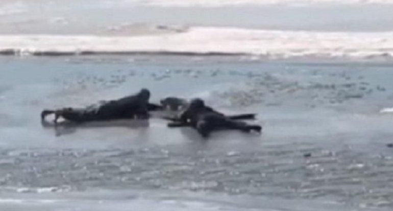 Ruslar çaya düşən iti belə xilas etdilər