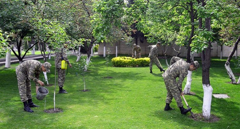 Azərbaycan Ordusunda ümumordu iməciliyi keçirildi