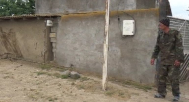 Cəlilabadda qoyun oğurluğuna cəhd göstərilib