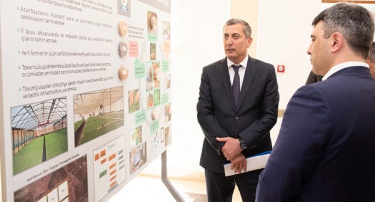 İnam Kərimovdan yeni direktor təyinatı