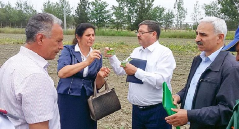 Nazirlik fermerlər üçün təlimlər keçirir