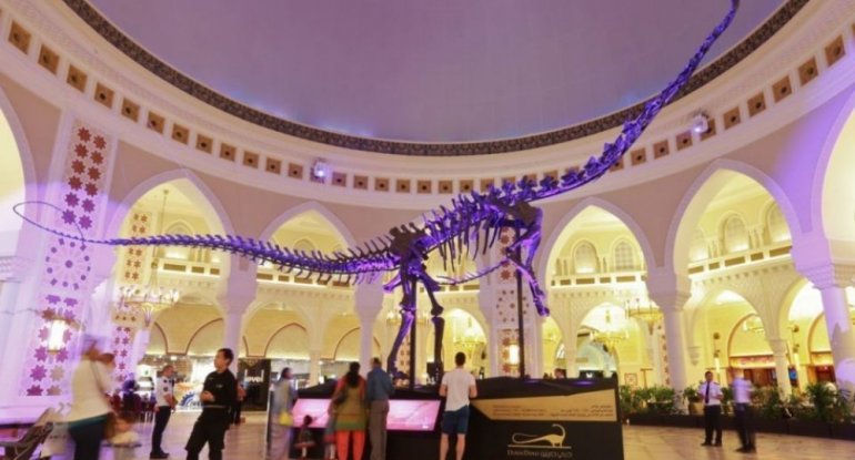 Dinozavr skeleti 4 milyon dollara hərraca çıxarılır