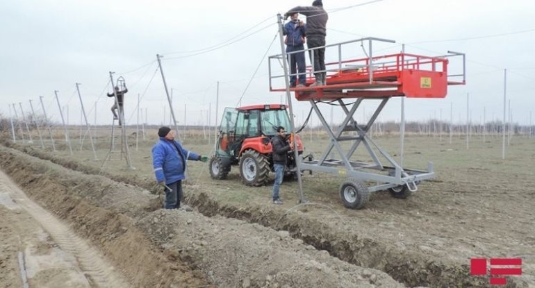 Azərbaycanda ilk dəfə “ağıllı bağ” yaradılır