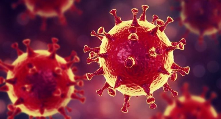 Koronavirusun sürətli yayılmasının SİRRİ AÇILDI