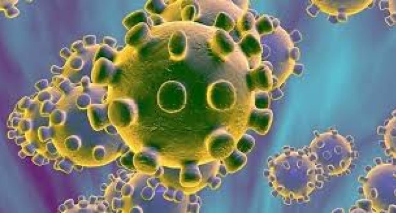 Ərəb ölkələri arasında ən çox hansı ölkədə koronavirus yayılıb
