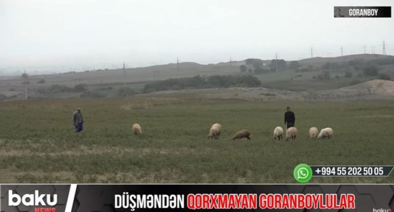 Düşmənin intensiv atəşə tutduğu Goranboydan VİDEOREPORTAJ