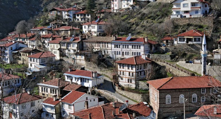 Türkiyədə vilayətin mərkəzində Azərbaycan bayrağı asıldı - FOTO