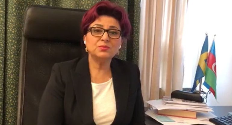 İsveç Azərbaycanlılarının Koordinasiya Şurasının əlaqələndiricisi erməni təxribatını qınayır - VİDEO