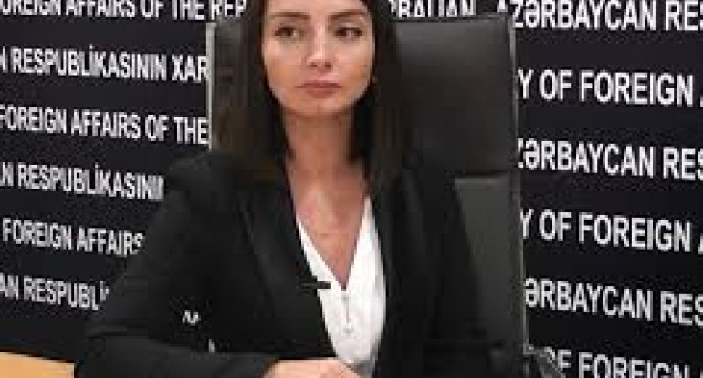 Leyla Abdullayeva: “Etnik nümayəndələr Azərbaycanın tərkibində sülh, təhlükəsizlik şəraitdə yaşayırlar”