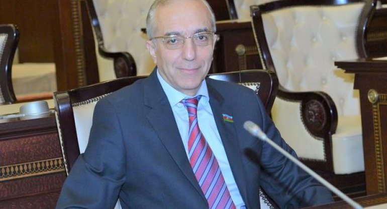 Deputat: “Qəsbkar Ermənistan beynəlxalq humanitar hüququn qadağan etdiyi silahlardan istifadə edir”