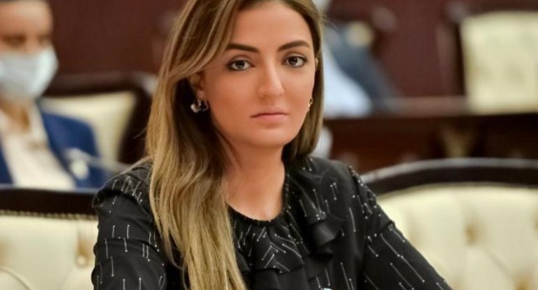 Beynəlxalq təşkilatlar Ermənistanın işğal siyasəti ilə bağlı məlumatlandırılıb