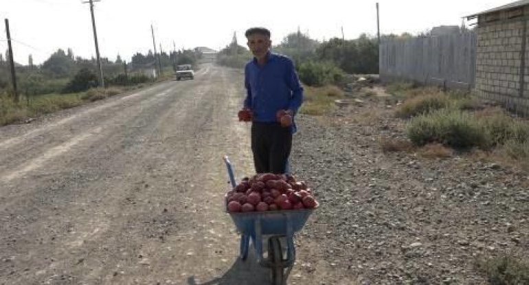 Düşmən hücumuna məruz qalan Naftalanda həyat öz axarı ilə davam edir - VIDEO
