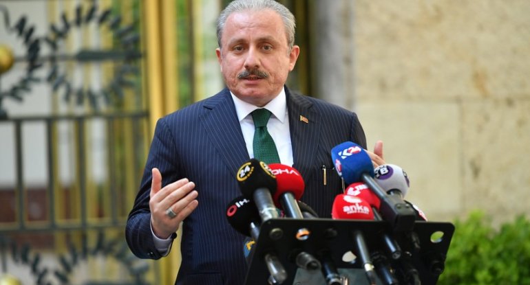 Mustafa Şentop: 