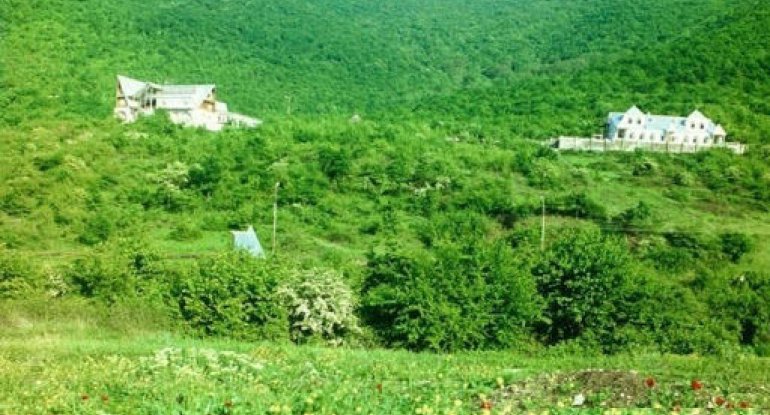 Əslən Zəngilandan olan müğənni Prezidentin qələbə müjdəsini BELƏ QARŞILADI