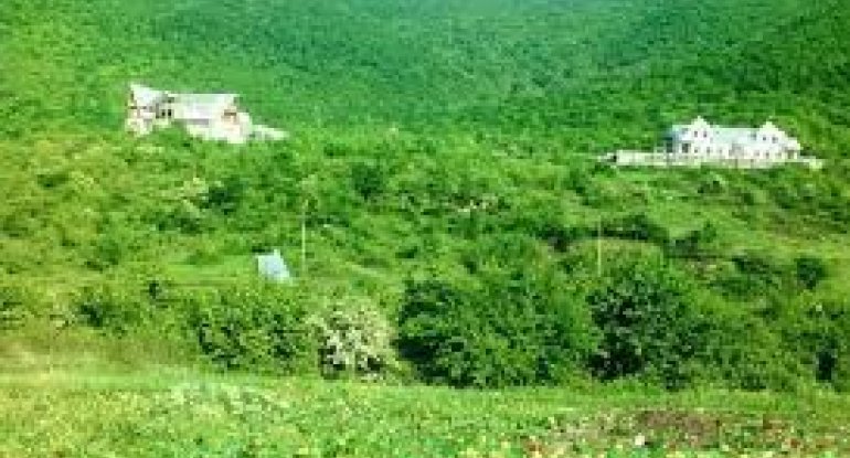 Əslən Zəngilandan olan musiqiçi Prezidentin qələbə müjdəsini BELƏ QARŞILADI - FOTO