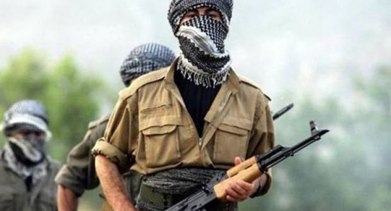 Qarabağda daha 12 PKK/YPG terrorçusu məhv edildi