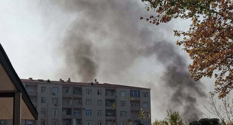 Ermənilərin bu gün öldürdüyü 16 yaşlı Şahmalının - Fotosu