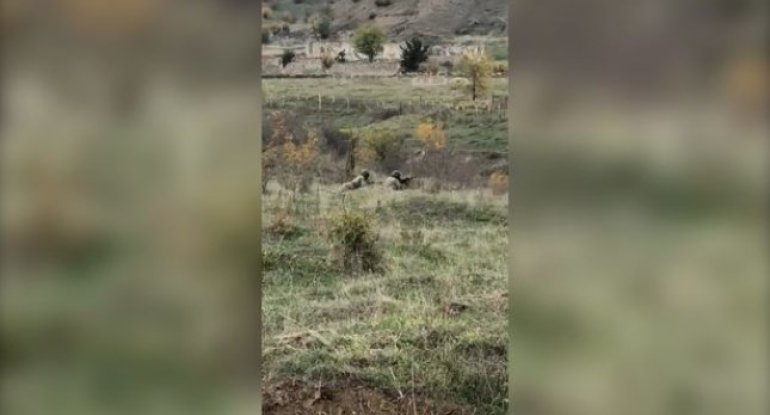 Ağdamı tərk etmək istəməyən erməni əsgərlərinə xəbərdarlıq: “Sizin ölümünüz heç nəyi dəyişməyəcək” - VİDEO