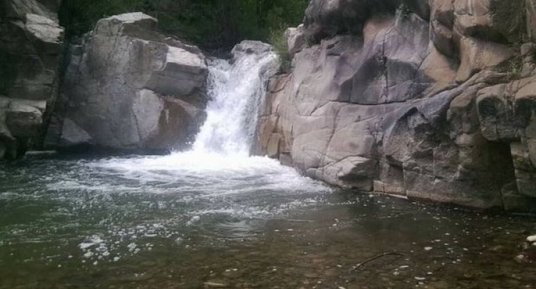 Laçının səhiyyə müəssisələrinin sayı AÇIQLANDI