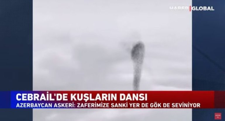 Cəbrayıl səmasında quşların rəqsi: Zəfərimizə yer-göy sevinir - VİDEO