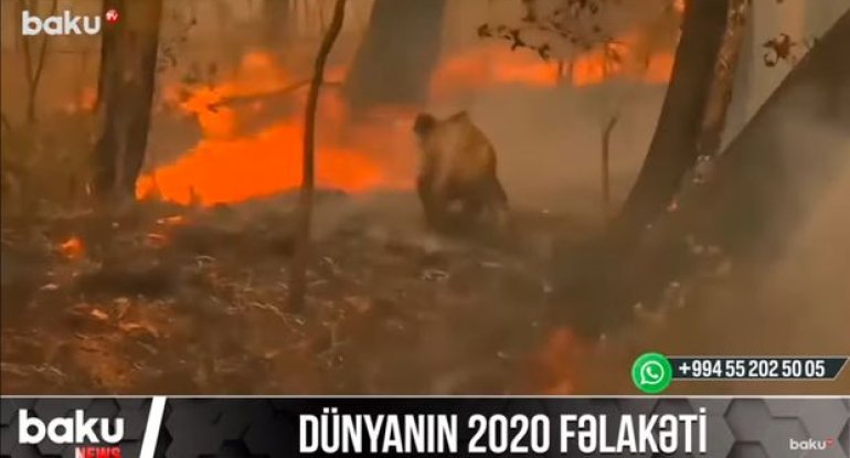 Dünyanın yaddaşında fəlakətlərlə qalan 2020-ci il - VİDEO