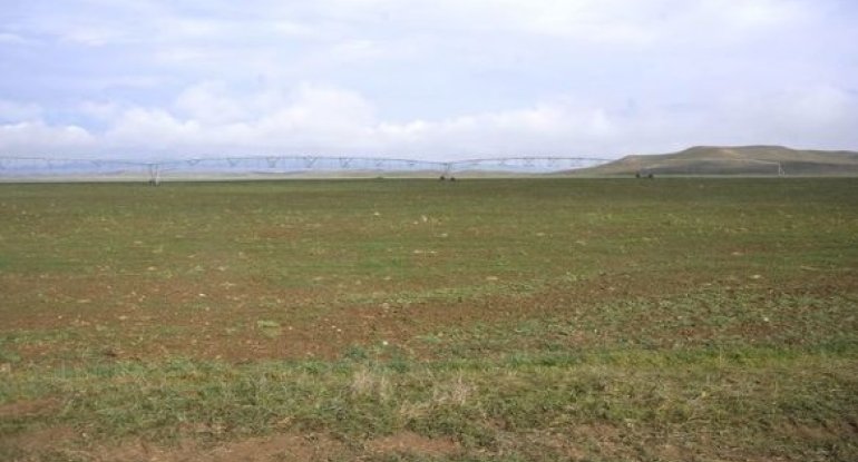 Cəbrayıl torpaqları yenidən canlanır - FOTO/VİDEO