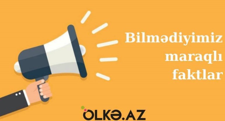 Bilmədiyiniz 36 MARAQLI MƏLUMAT