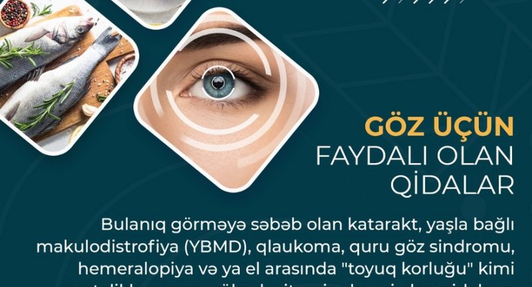 Göz üçün faydalı olan qidalar - MƏQALƏ