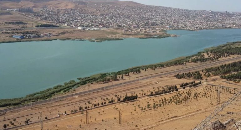 Bakıda yeni Nəbatat bağı salınacaq