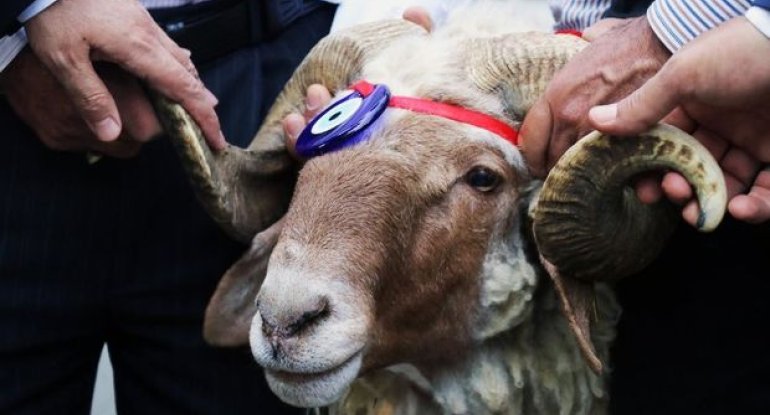 İlahiyyatçı qurban kəsilməsi qadağan edilən heyvanlardan danışdı