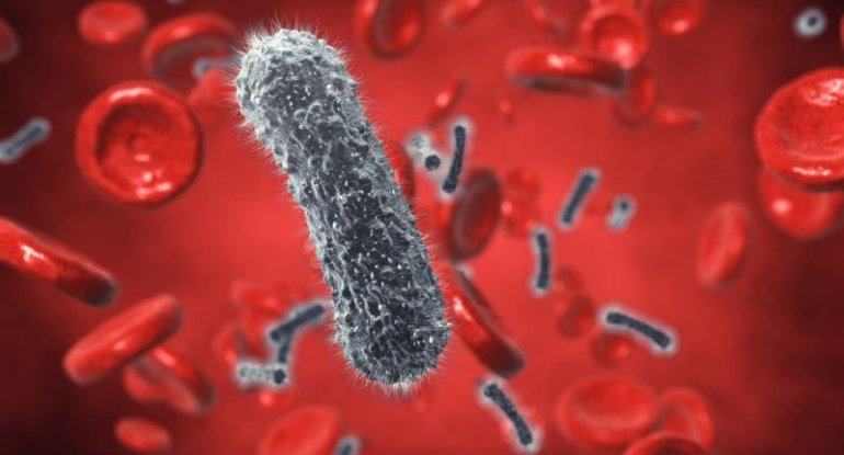 Hepatit nədir və necə yaranır? - SƏBƏBLƏR