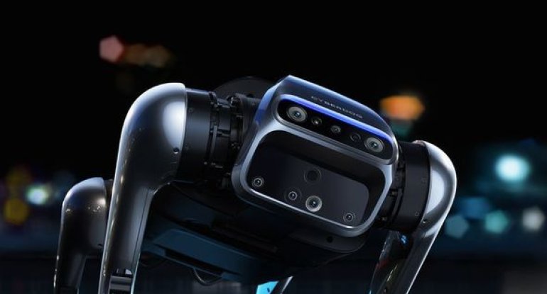 Məşhur smartfon istehsalçısı robot it təqdim etdi – FOTO