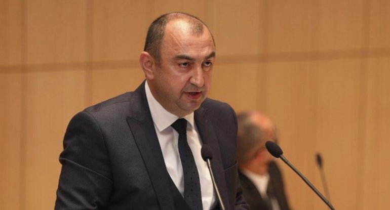 Ermənilər Zəngilanda qədim Şərq çinarlarını kəsərək məhv ediblər