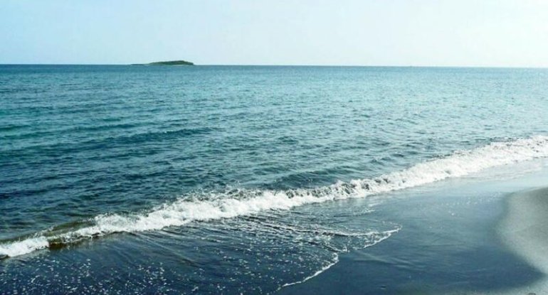 15 milyon il əvvəl Xəzər dənizində... - İlginc araşdırma - FOTO