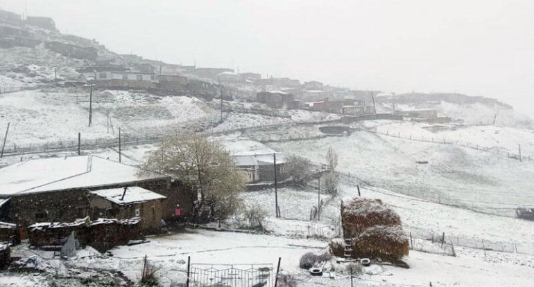 Quba və Qusara qar yağıb 