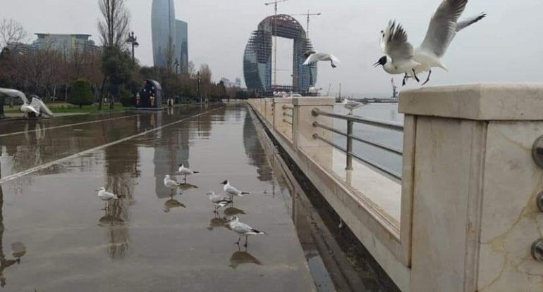 Sabah hava necə olacaq? - AÇIQLAMA