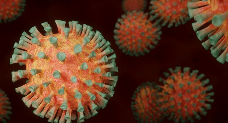 Alimlər: Koronavirusun 