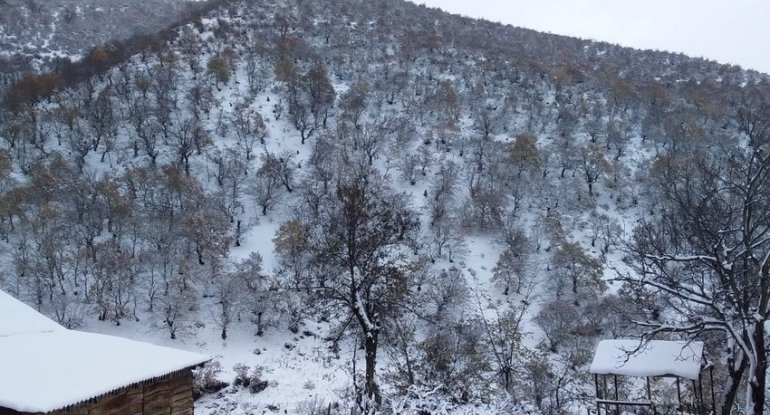 Faktiki hava açıqlanıb