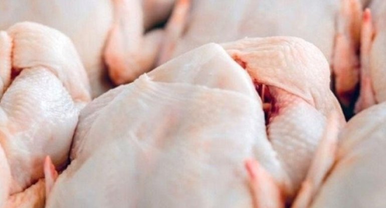 Broyler toyuqları ilə bağlı gizli araşdırma - Yeni təhlükələr