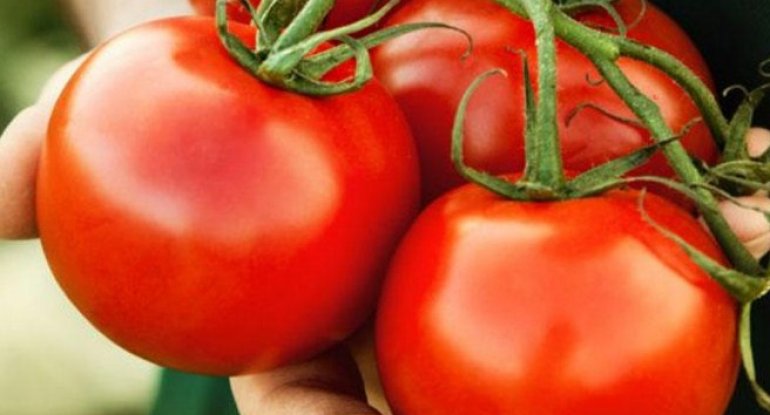 Pomidorun bilinməyən faydası aşkarlandı