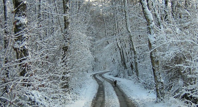 Azərbaycanda 60 sm qar yağıb - Faktiki hava